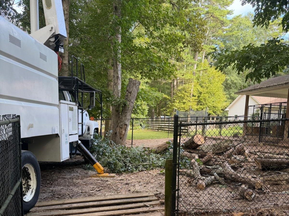 El Costeño Tree Service LLC
